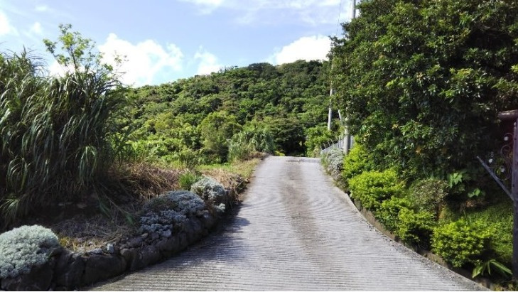 今帰仁村玉城 33993㎡の周辺