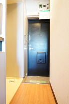 落ち着いた玄関です