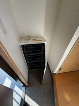 明るい玄関です