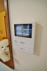 ※写真は別部屋のもの