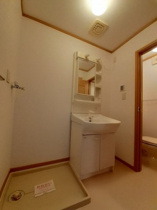 忙しい朝には欠かせない洗面所です