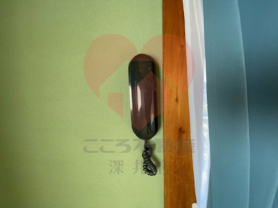  | 岸和田市小松里町貸家