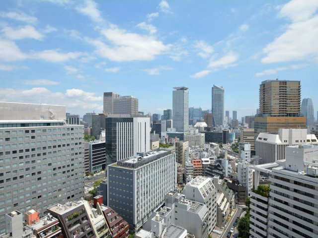 赤坂溜池タワーレジデンスの展望|別住戸の写真です