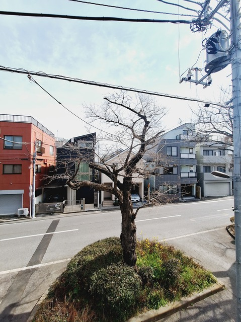 大千館の展望