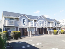 プリムローズの画像