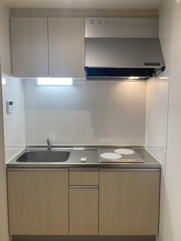 リトルパレス東向島のキッチン|キッチンです