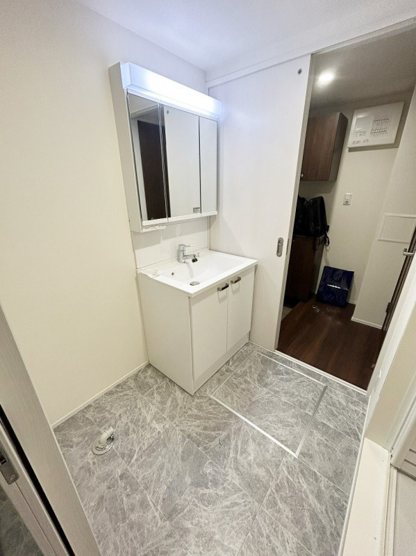 フラッツ平河町（東京ゼロエミッションハウス）の洗面所|ゆったりとスペースのある洗面所