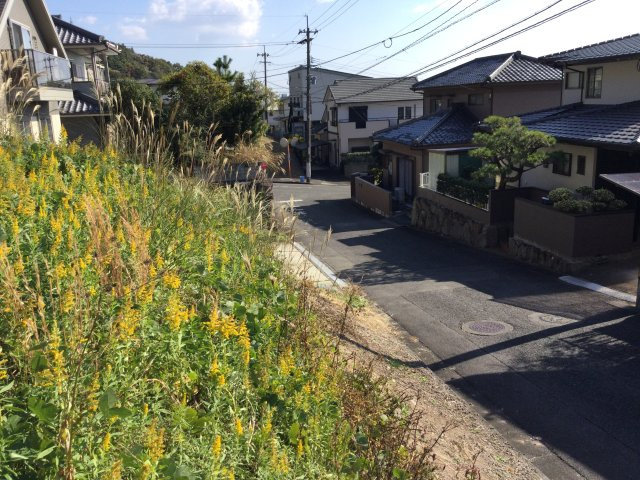 日出町豊岡売地の周辺