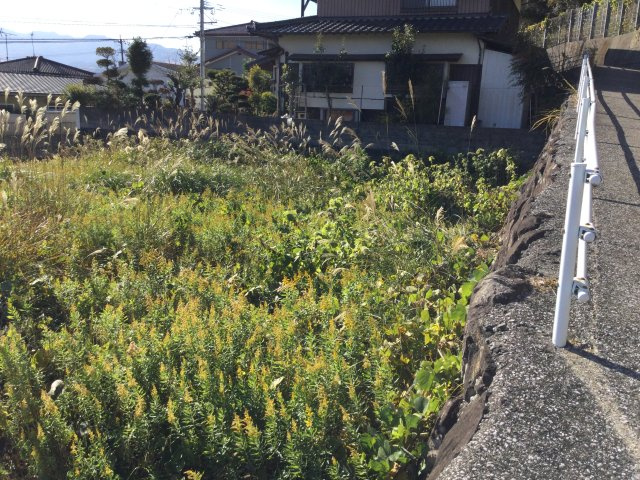 日出町豊岡売地の周辺