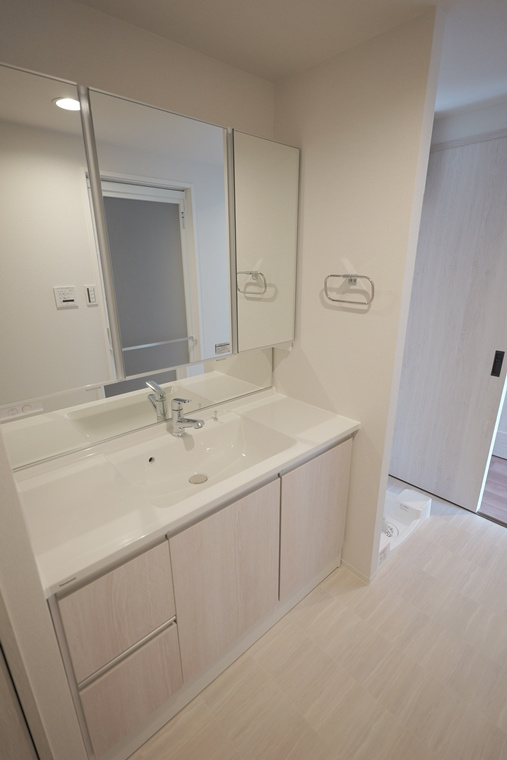 クリオ溝の口壱番館の洗面所