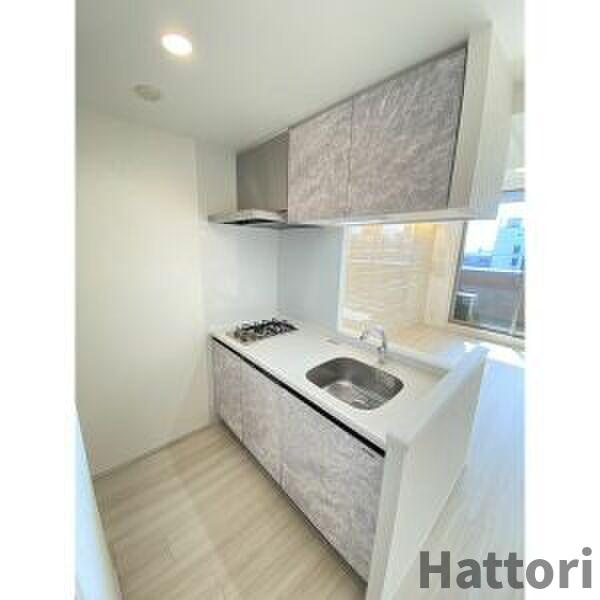 プレジオ緑地公園のキッチン