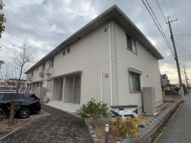 キャンフルローレルの画像