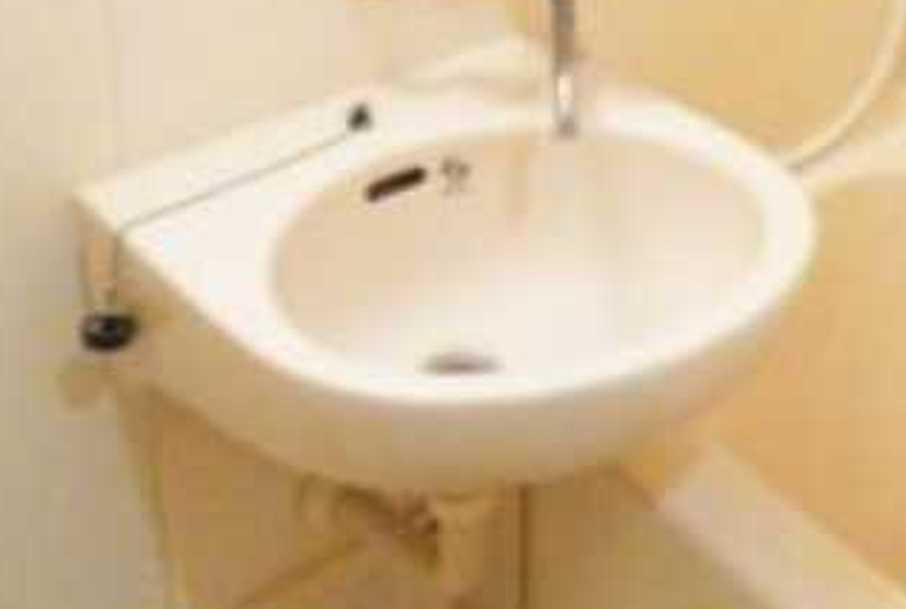 メゾンヌーヴェル　ペット相談　オートロック　角部屋の洗面所