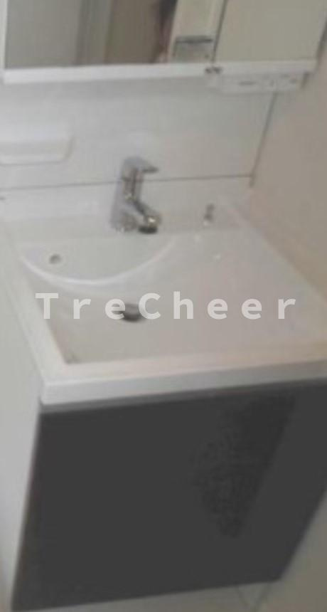 プロシード高島平の独立洗面台