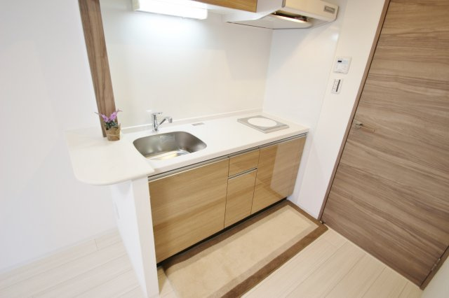 川口市金山町の賃貸マンションのキッチン|別室参考写真です。