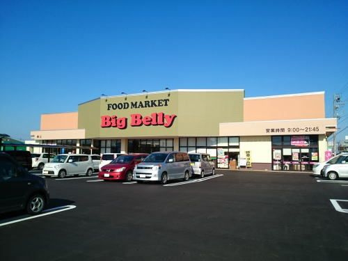 プリマヴェーラⅡのその他