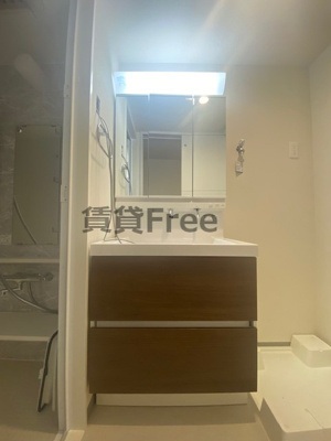 【独立洗面台】 | リアライズ小路駅前　仲介手数料無料