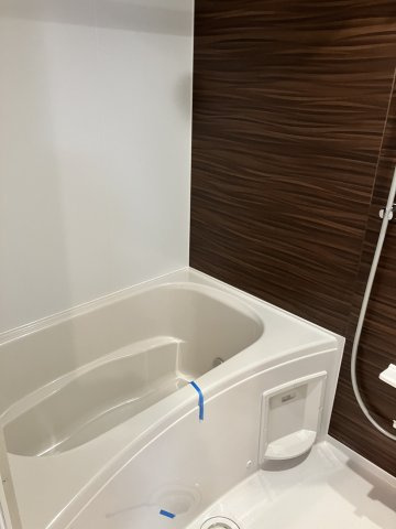 IL POSTO SOLEGGIATOの浴室