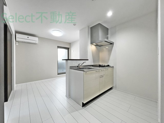 Anecis 橘のその他