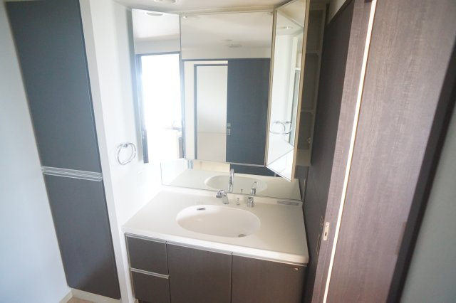 サンメゾン法隆寺の洗面所