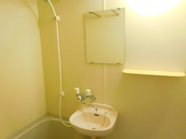 アビタシオン奈佐原B棟の洗面所