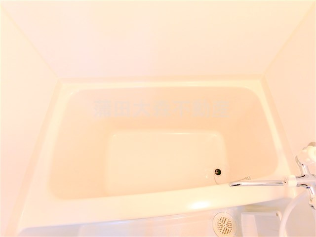 ブライズ大森東の浴室