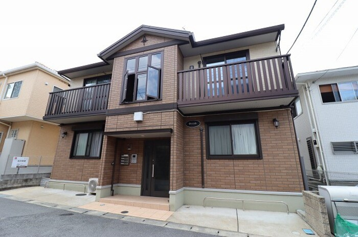 ウィットの外観|外観