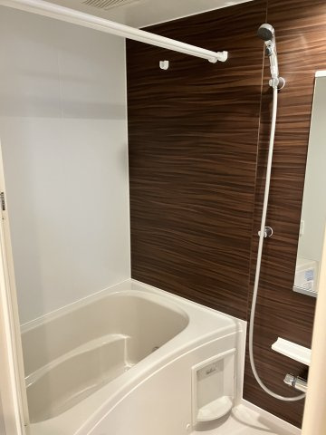 IL POSTO SOLEGGIATOの浴室