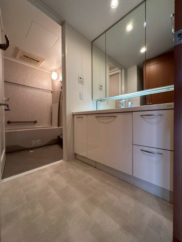 グランドメゾン万博公園南の洗面所