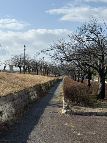 シティハウス川端町の周辺