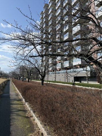 シティハウス川端町の周辺