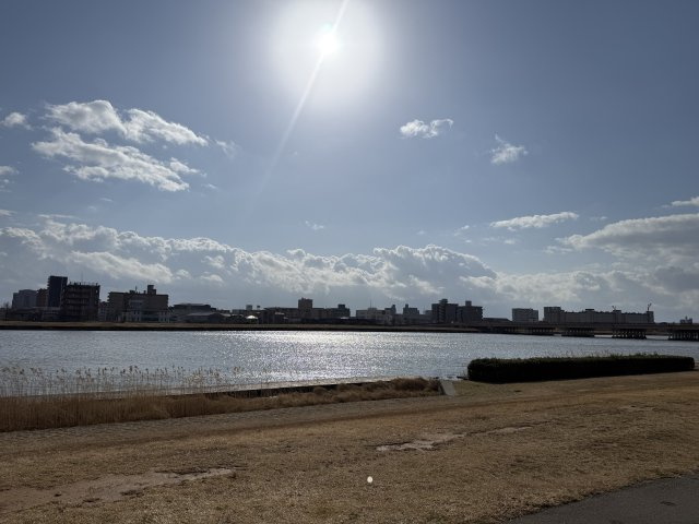 シティハウス川端町の周辺