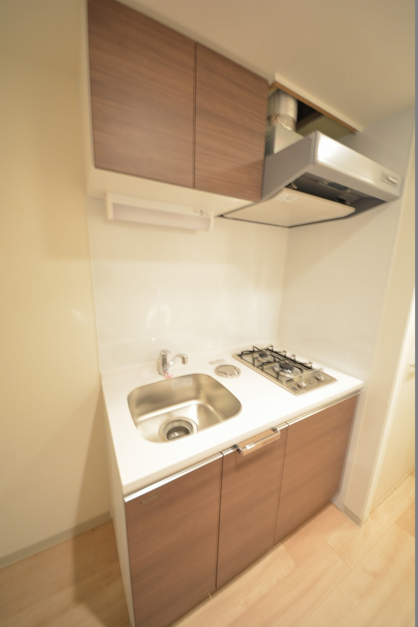 プレサンス高津公園ディオのキッチン|プレサンス高津公園ディオ　2口ガスコンロ