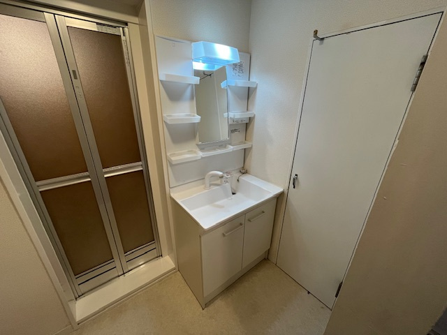 金剛グリーンハイツの独立洗面台