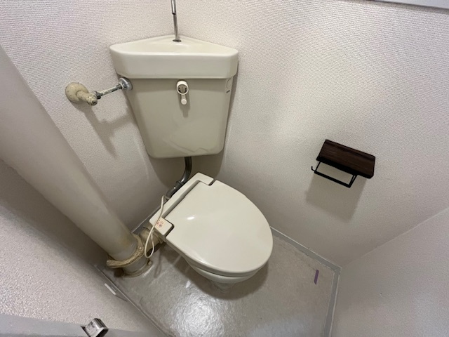 金剛グリーンハイツのトイレ