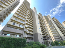 新千里桜ヶ丘メゾンシティ　参番館の画像