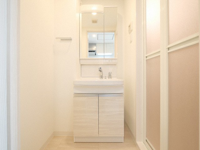 アドバンス天王寺南パキラの洗面所