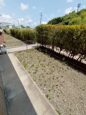 【庭】 | マリノ　カンパネッラA