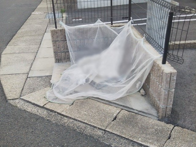 レオネクスト延珠北のその他共用部分