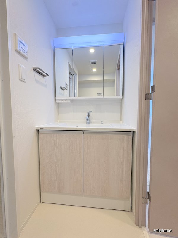 スプランディッド玉造DUE　仲介手数料無料の洗面所