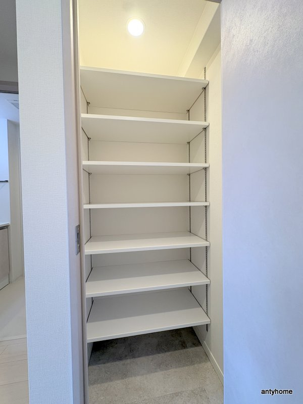 スプランディッド玉造DUE　仲介手数料無料の収納