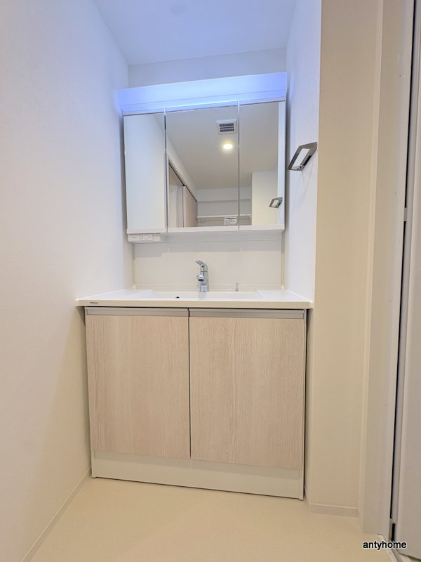 スプランディッド玉造DUE　仲介手数料無料の洗面所