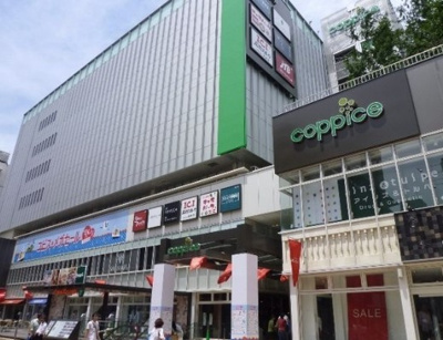 【周辺】 | ベルデュール吉祥寺東町