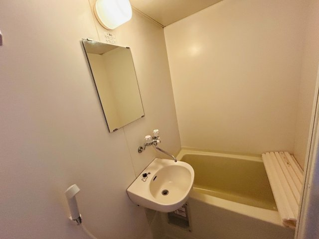 ハイツ大与の洗面所