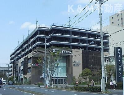 シュラインサイド