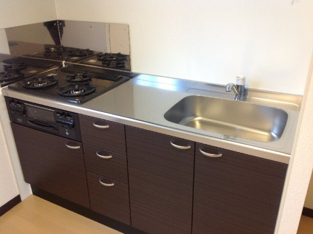 レオネクスト桃の木のキッチン