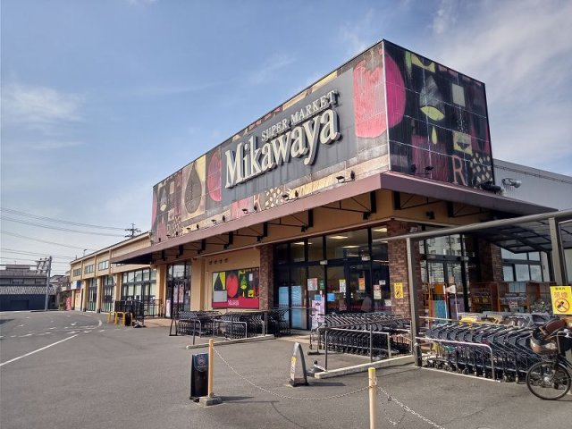 レオネクスト桃の木のその他