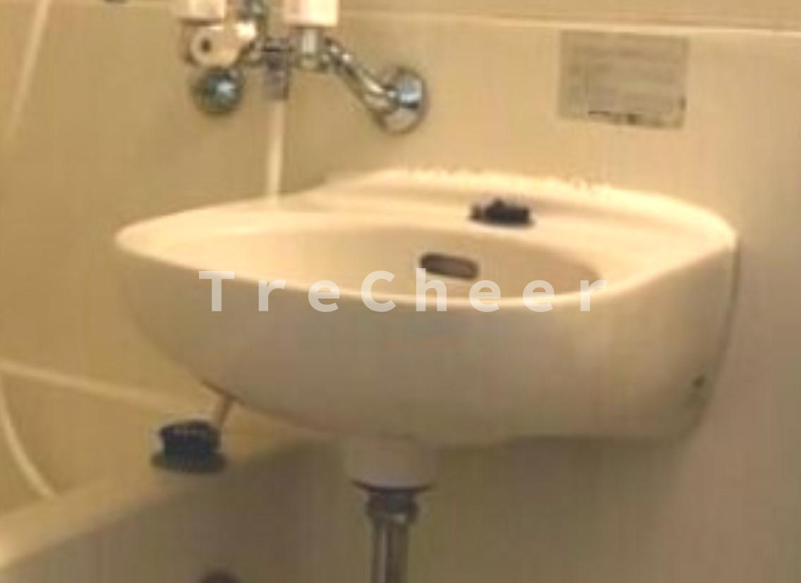 ラ・プレ大山の洗面所