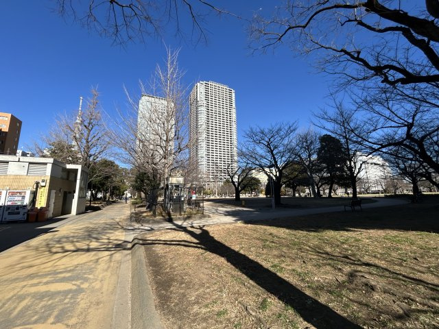 ブリリアタワー東京の周辺