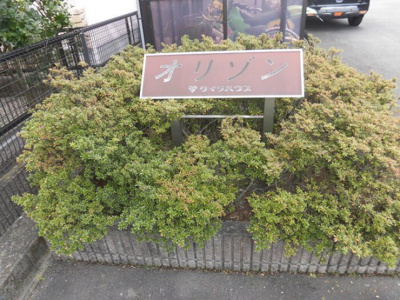 【その他】 | オリゾンA | オリゾン